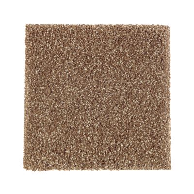 Mohawk Smartstrand Silk Native Allure I Cat-Tail 2N95-508