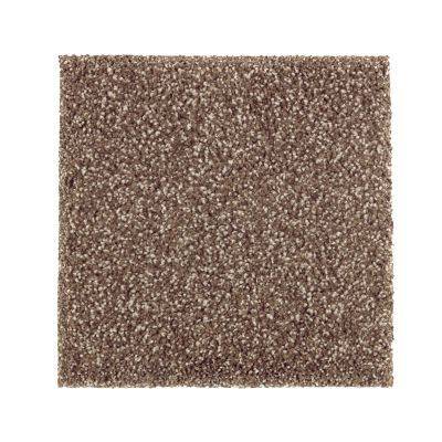 Mohawk Smartstrand Silk Native Allure I Dried Peat 2N95-524