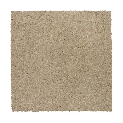 Mohawk Smartstrand Silk Native Allure II Sand Dollar 2N96-517