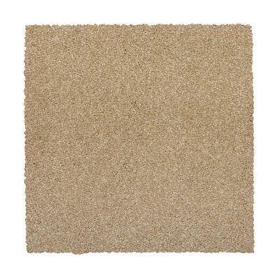 Mohawk Smartstrand Silk Native Allure II Hearth Beige 2N96-518