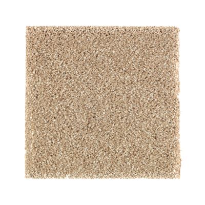 Mohawk Stonington Manor I Natural Grain 2N99-507