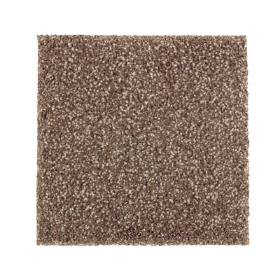 Mohawk Stonington Manor I Dried Peat 2N99-524