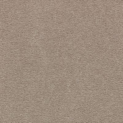 Mohawk Smartstrand Homefront I Pecan Bark 2R31-858