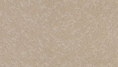 Karastan Smartstrand Silk Graceful Allure Boulder Beige 2R47-9735