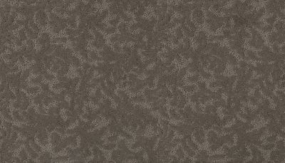 Karastan Smartstrand Silk Graceful Allure Tasseled Taupe 2R47-9839