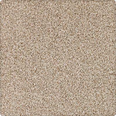 Karastan Kashmere Dover Coast Shadow Pearl 2R59-9729