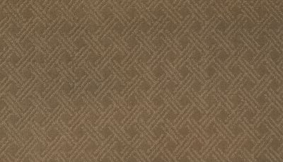 Mohawk Smartstrand Silk Exquisite Touch Clay Trail 2S43-524