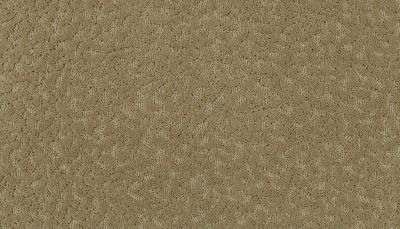 Mohawk Smartstrand Exceptional Beauty Rococo Beige 2S58-517