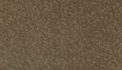 Mohawk Smartstrand Exceptional Beauty Montebello 2S58-523