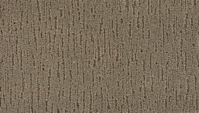 Mohawk Smartstrand Splendid Character Driftwood 2S75-517