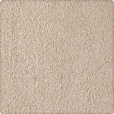 Karastan Smartstrand Silk Soft Inspiration First Choice 2T07-9729