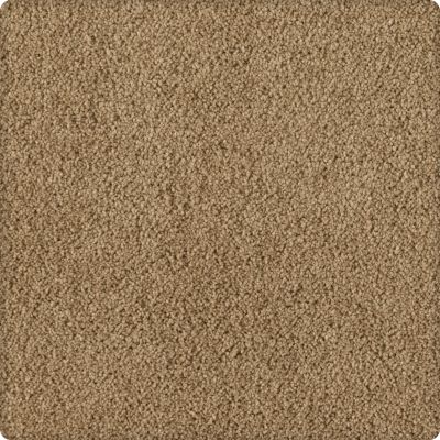 Karastan Smartstrand Silk Soft Inspiration Flaxen Air 2T07-9783