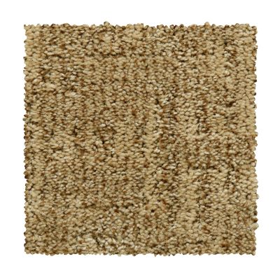 Mohawk Everstrand Antique Comfort Fresh Earth 2V40-862