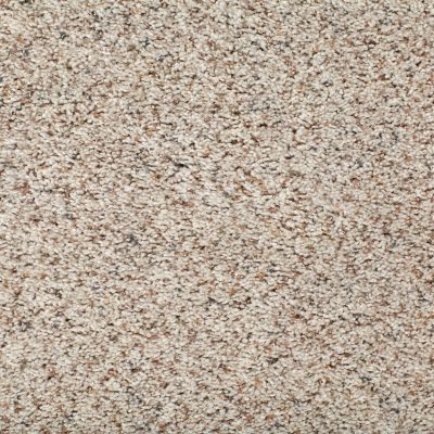 Mohawk Smartstrand Earthly Details I Alpine Lace 2W23-503