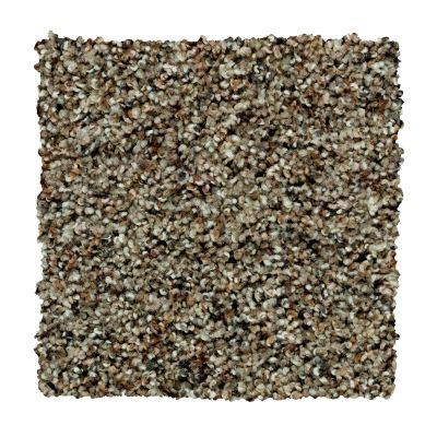 Mohawk Relaxing View II Classic Taupe 2W42-502