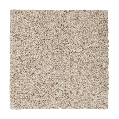Mohawk Smartstrand Silk Calming State Antique 2W47-550