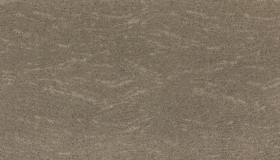 Karastan Smartstrand Silk Modern Nature Hamlet 2W80-9819