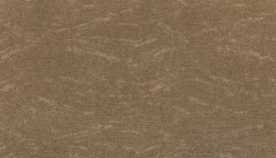 Karastan Smartstrand Silk Modern Nature Native Soil 2W80-9832