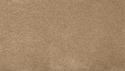 Mohawk Dahlia Harbor Stonington Beige 2W96-540