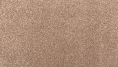 Mohawk Smartstrand Classical Design I Desert Mud 2X56-848