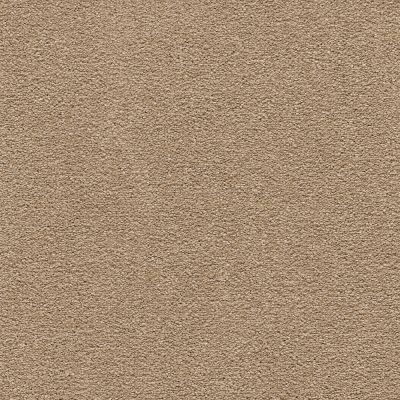 Mohawk Smartstrand Classical Design III Spiced Tea 2X58-864