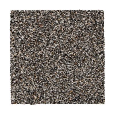 Mohawk Smartstrand Charming Qualities Urban 2Y91-513