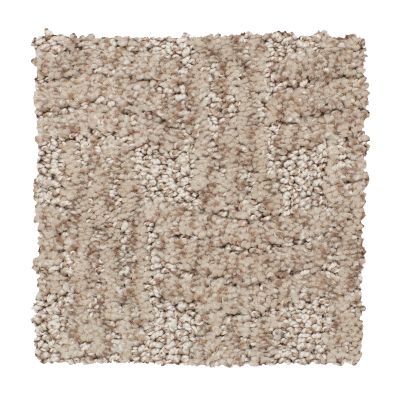 Mohawk Everstrand Intertwined Desert Accents 2Z58-861