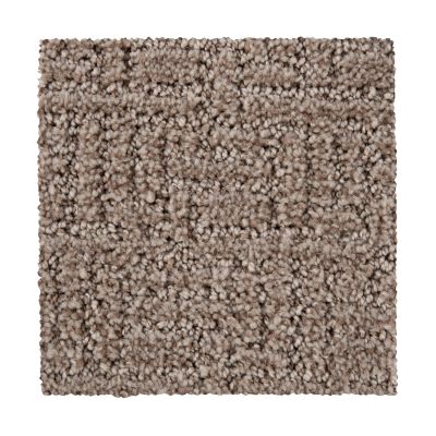 Mohawk Everstrand Bountiful Beauty Desert Accents 2Z63-861