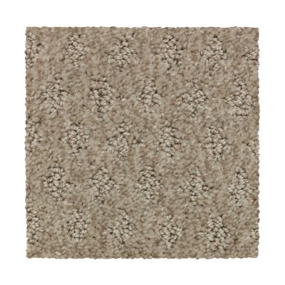 Mohawk Everstrand Bountiful Elegance Alpaca 2Z78-822