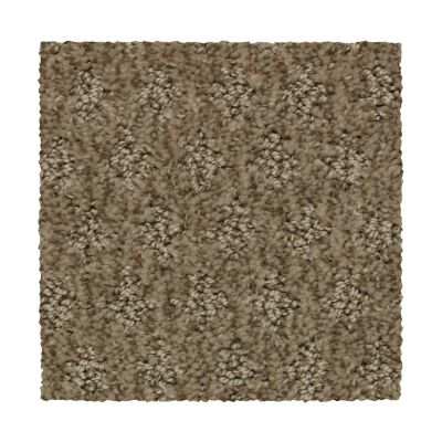 Mohawk Everstrand Bountiful Elegance Desert Accents 2Z78-861