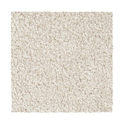 Mohawk Smartstrand Exceptional Choice Harmonious 3A03-525