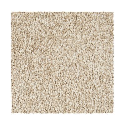 Mohawk Smartstrand Exceptional Choice Canyon Shade 3A03-550