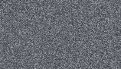Mohawk Smartstrand Inviting Charisma Brushed Metal 3A11-543