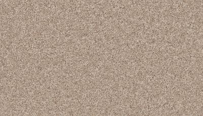 Mohawk Smartstrand Inviting Charisma Montego 3A11-548