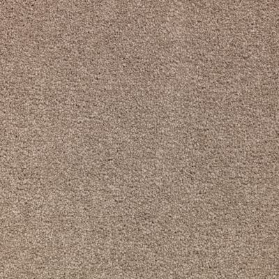 Mohawk Smartstrand Appealing Glamor Heathery Tint 3A13-534