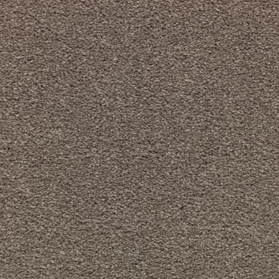 Mohawk Smartstrand Appealing Glamor Grandeur 3A13-545