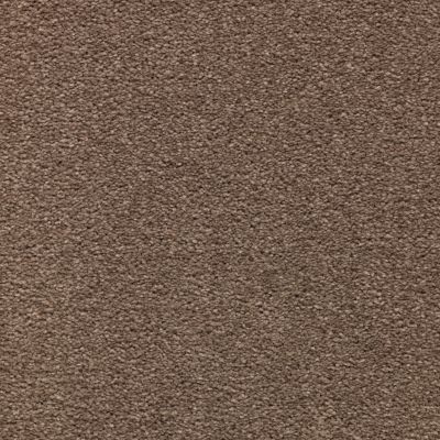 Mohawk Smartstrand Appealing Glamor Tudor 3A13-559