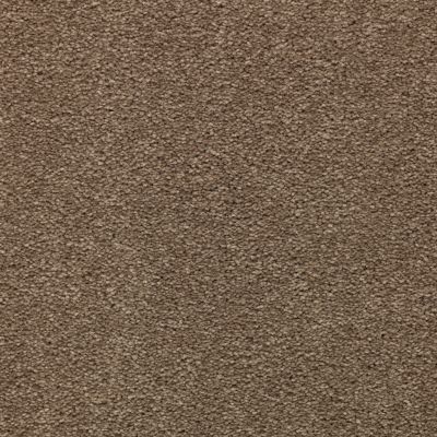 Mohawk Smartstrand Appealing Glamor Timberlane 3A13-560