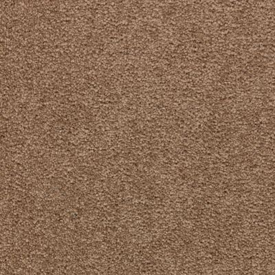 Mohawk Smartstrand Appealing Glamor Nouveau 3A13-561