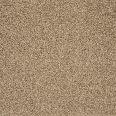 Mohawk Smartstrand Captivating Style Canyon Shade 3A14-550