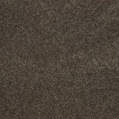 Mohawk Smartstrand Captivating Style Weathered Plank 3A14-558