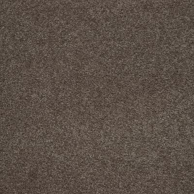 Mohawk Smartstrand Captivating Style Tudor 3A14-559