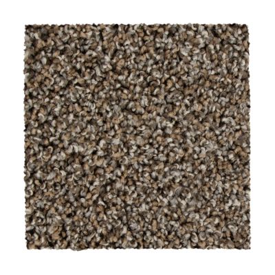 Mohawk Everstrand Color Fusion I Driftwood 3B52-849