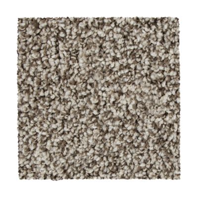 Mohawk Everstrand Color Harmony I Overcast 3B56-729