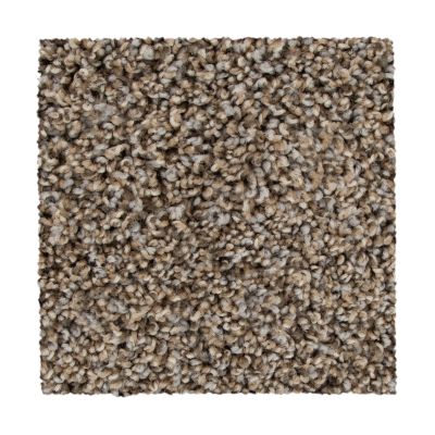 Mohawk Everstrand Color Harmony I Iron Side 3B56-927