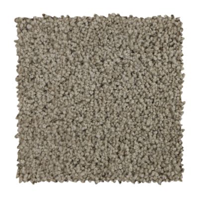 Lifescape Designs Valuable Texture and Shag Taupe Whisper 3C19-746