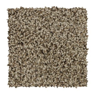 Mohawk Everstrand Soft Aspect Neutral 3C22-765