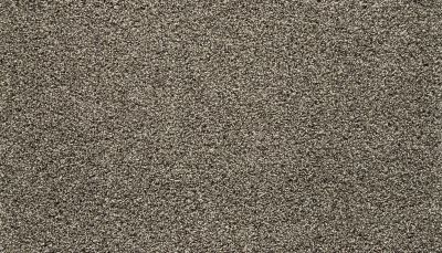Mohawk Smartstrand Silk Natural Option II Taupe Delight 3D27-869