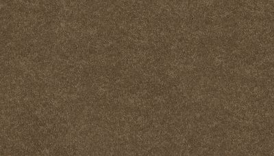 Mohawk Ultrastrand Coastal Vision III Tradition 3D45-783