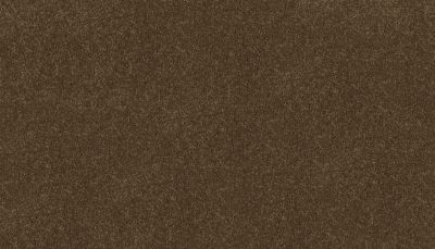 Mohawk Ultrastrand Coastal Vision III Captain 3D45-850